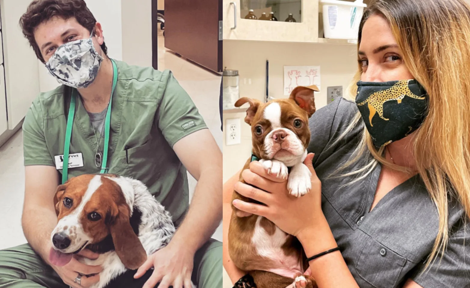 Two Staff Members with Brown Dogs at Southwest Vet